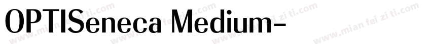 OPTISeneca Medium字体转换
